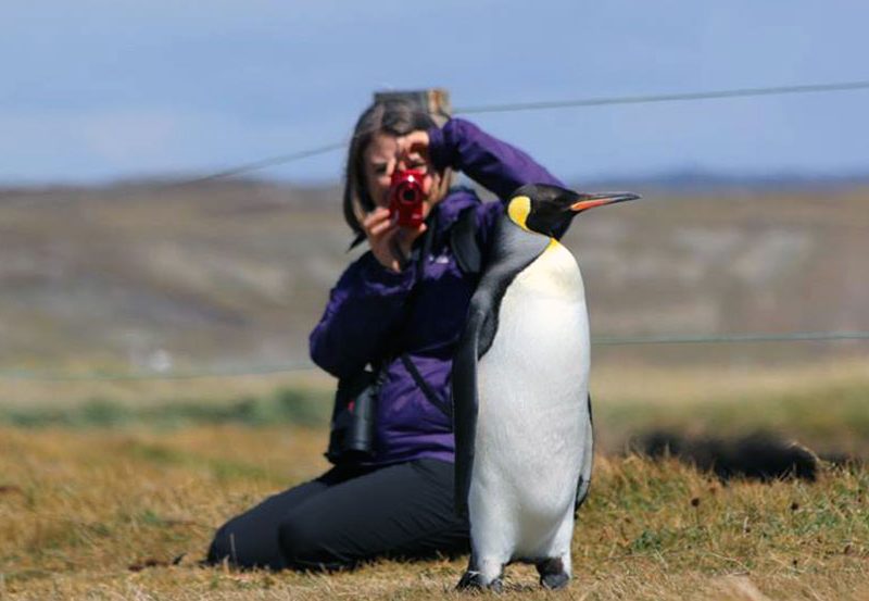 Parque Pinguino Rey Tierra del Fuego