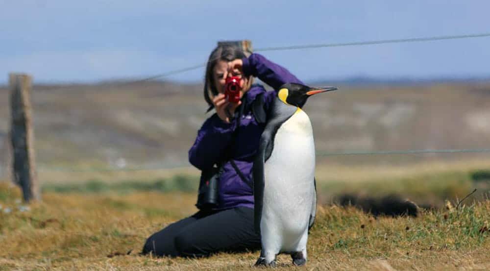 Parque Pinguino Rey Tierra del Fuego